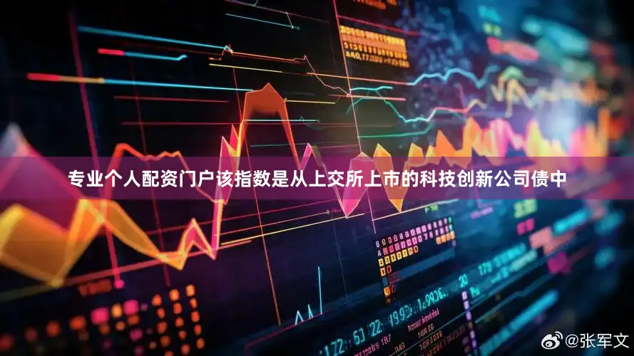 专业个人配资门户该指数是从上交所上市的科技创新公司债中