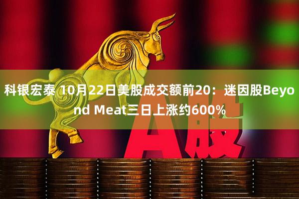 科银宏泰 10月22日美股成交额前20：迷因股Beyond Meat三日上涨约600%