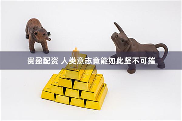 贵盈配资 人类意志竟能如此坚不可摧